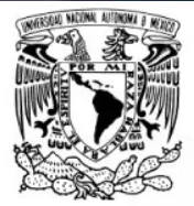 unam logo